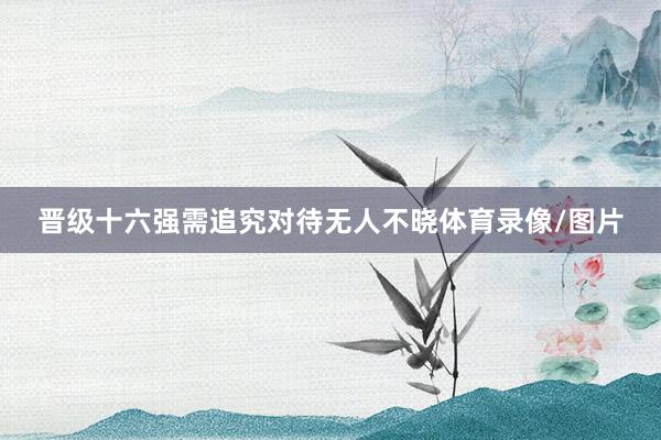 晋级十六强需追究对待无人不晓体育录像/图片