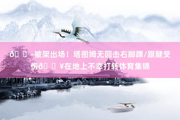 😭被架出场！塔图姆无回击右脚踝/跟腱受伤💥在地上不幸打转体育集锦