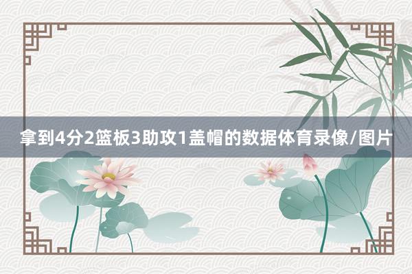 拿到4分2篮板3助攻1盖帽的数据体育录像/图片