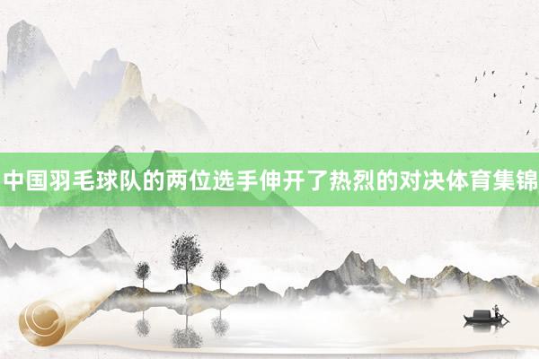 中国羽毛球队的两位选手伸开了热烈的对决体育集锦