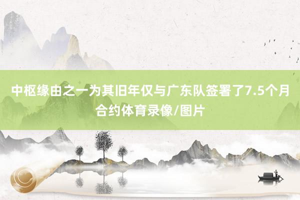 中枢缘由之一为其旧年仅与广东队签署了7.5个月合约体育录像/图片