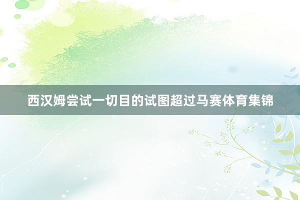 西汉姆尝试一切目的试图超过马赛体育集锦
