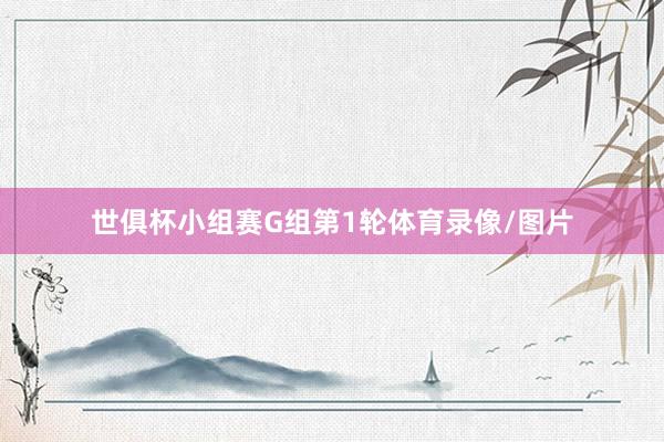 世俱杯小组赛G组第1轮体育录像/图片