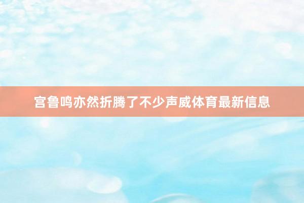 宫鲁鸣亦然折腾了不少声威体育最新信息