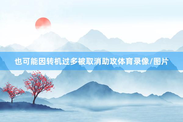 也可能因转机过多被取消助攻体育录像/图片