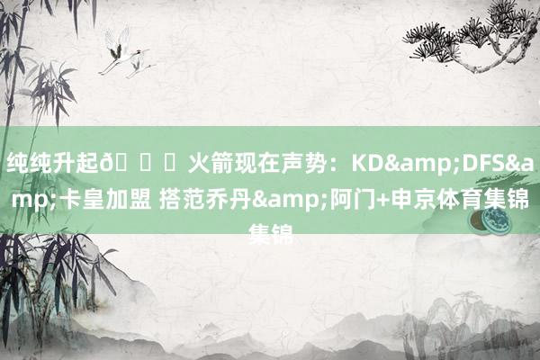 纯纯升起🚀火箭现在声势：KD&DFS&卡皇加盟 搭范乔丹&阿门+申京体育集锦