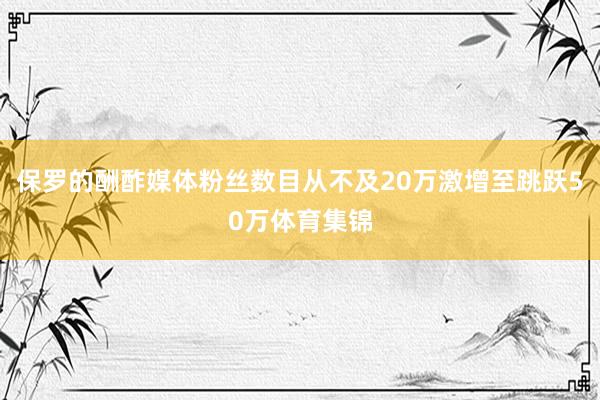 保罗的酬酢媒体粉丝数目从不及20万激增至跳跃50万体育集锦