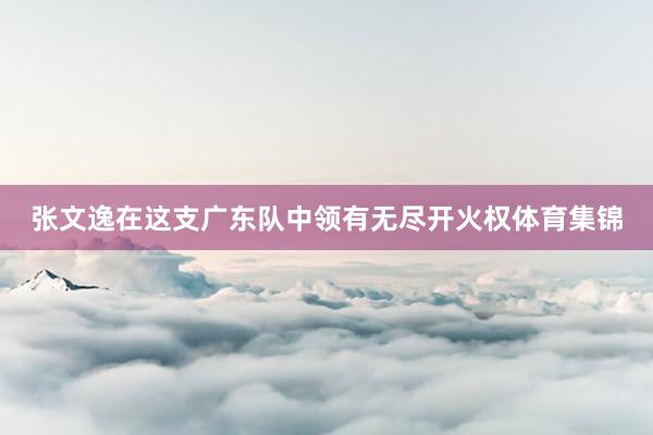 张文逸在这支广东队中领有无尽开火权体育集锦