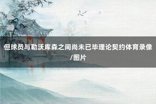 但球员与勒沃库森之间尚未已毕理论契约体育录像/图片