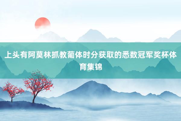 上头有阿莫林抓教葡体时分获取的悉数冠军奖杯体育集锦