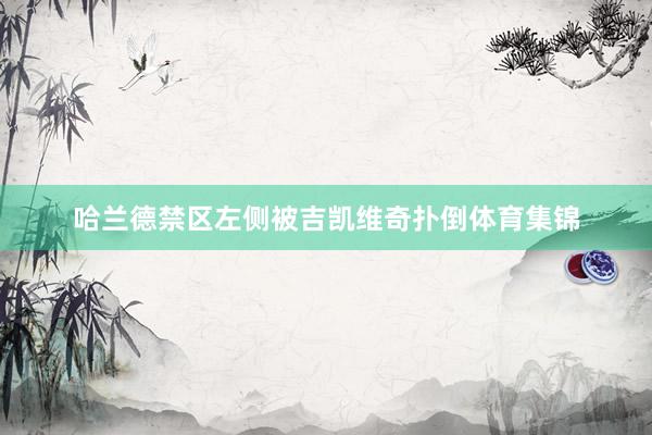 哈兰德禁区左侧被吉凯维奇扑倒体育集锦