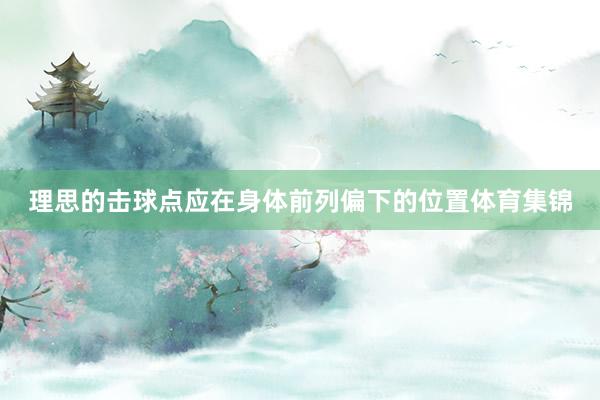 理思的击球点应在身体前列偏下的位置体育集锦