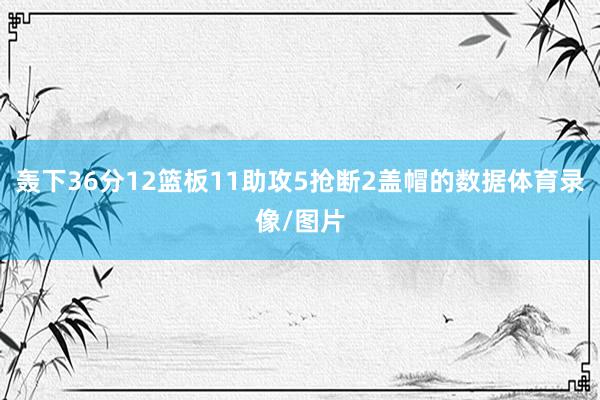 轰下36分12篮板11助攻5抢断2盖帽的数据体育录像/图片