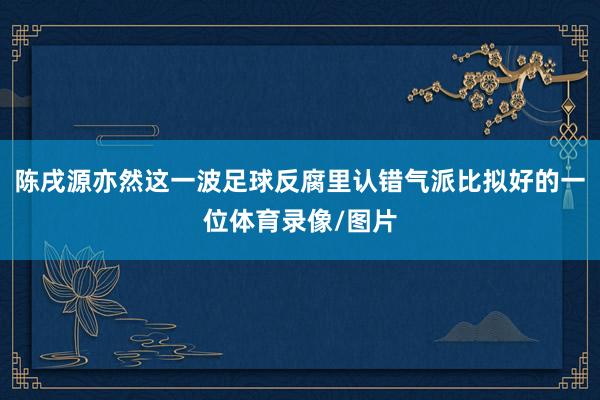 陈戌源亦然这一波足球反腐里认错气派比拟好的一位体育录像/图片