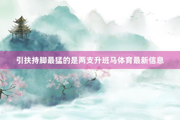 引扶持脚最猛的是两支升班马体育最新信息