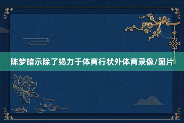 陈梦暗示除了竭力于体育行状外体育录像/图片