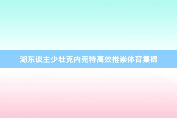 湖东谈主少壮克内克特高效推崇体育集锦