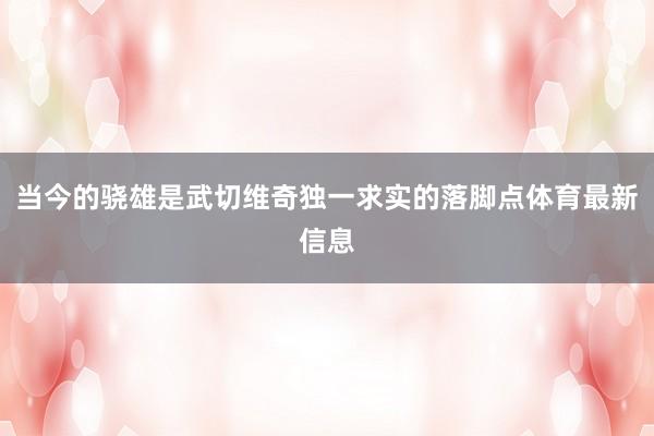 当今的骁雄是武切维奇独一求实的落脚点体育最新信息
