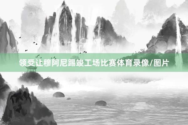 领受让穆阿尼踢竣工场比赛体育录像/图片