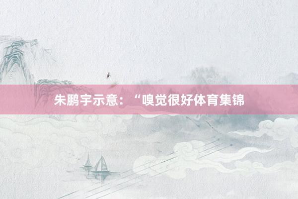 朱鹏宇示意：“嗅觉很好体育集锦