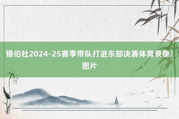 锡伯杜2024-25赛季带队打进东部决赛体育录像/图片