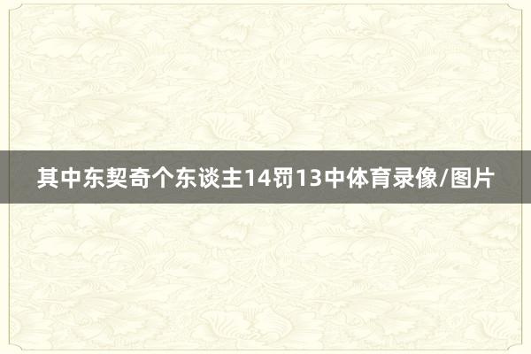 其中东契奇个东谈主14罚13中体育录像/图片