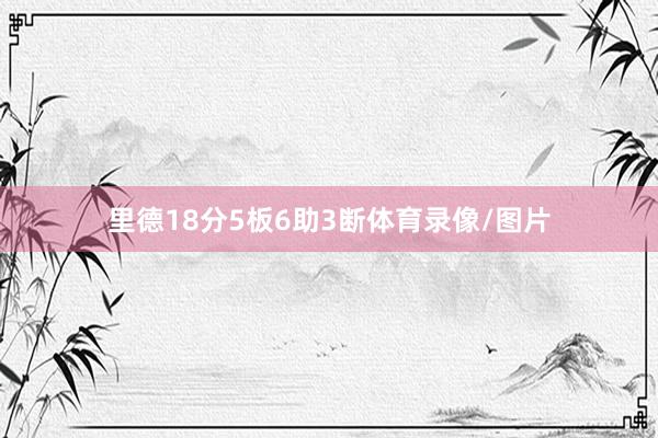 里德18分5板6助3断体育录像/图片