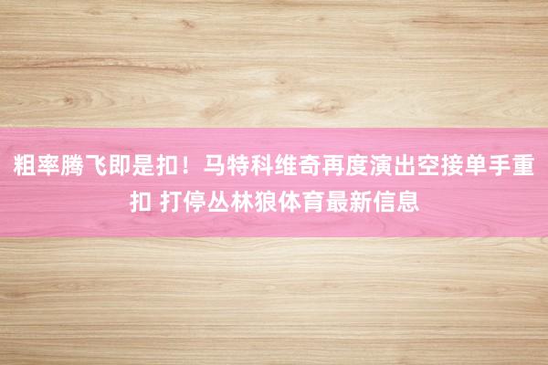 粗率腾飞即是扣！马特科维奇再度演出空接单手重扣 打停丛林狼体育最新信息