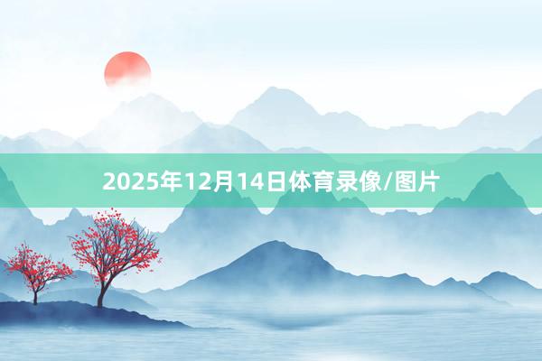 2025年12月14日体育录像/图片
