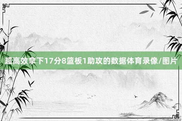 超高效拿下17分8篮板1助攻的数据体育录像/图片